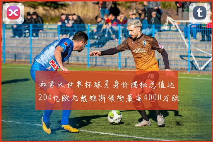 加拿大世界杯球员身价揭秘总值达204亿欧元戴维斯领衔最高4000万欧