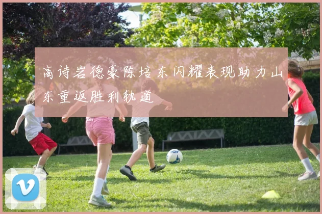 高诗岩德豪陈培东闪耀表现助力山东重返胜利轨道